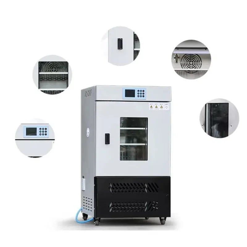 800 liters of medical microbio - Medical Lab Microbiology recensione e prezzo