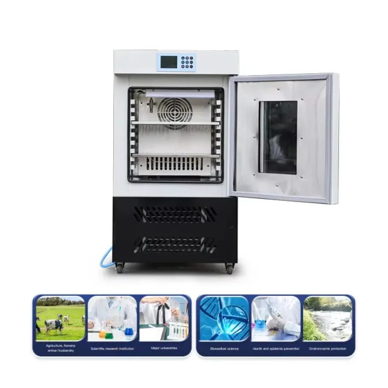 800 liters of medical microbio - Medical Lab Microbiology recensione e prezzo