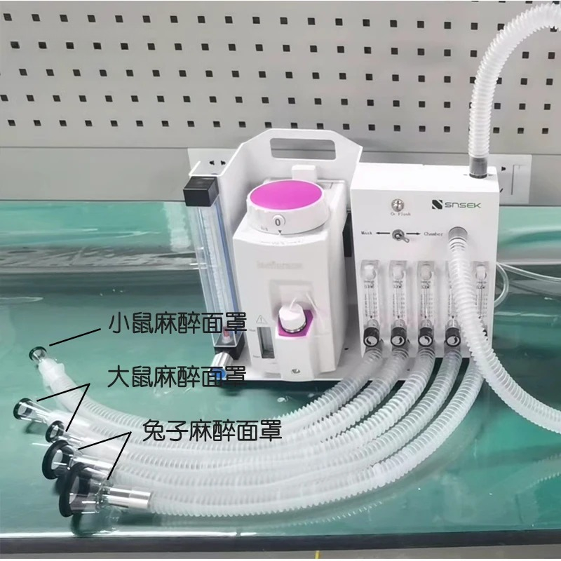 Medical Professional Laborator - Medical Lab Professional recensione e prezzo
