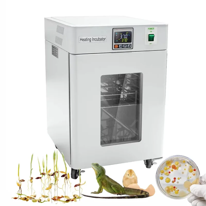 WEIAI 20L Biological Indicator - Medical Lab Microbiology recensione e prezzo