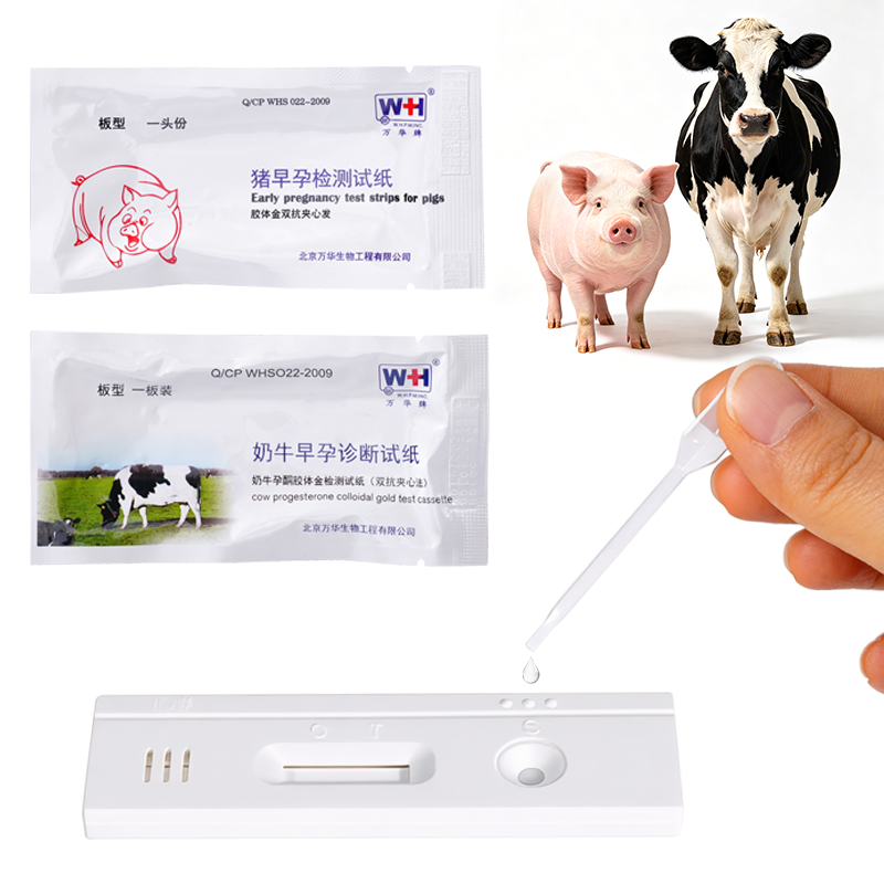 10pcs Livestock Early Pregnanc - Urine Analyzer Strip recensione e prezzo