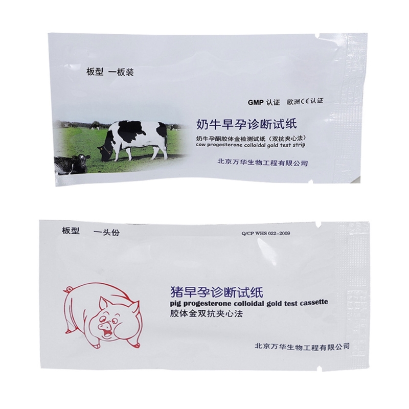 Early Pregnancy Test Strip for - Urine Analyzer Strip recensione e prezzo