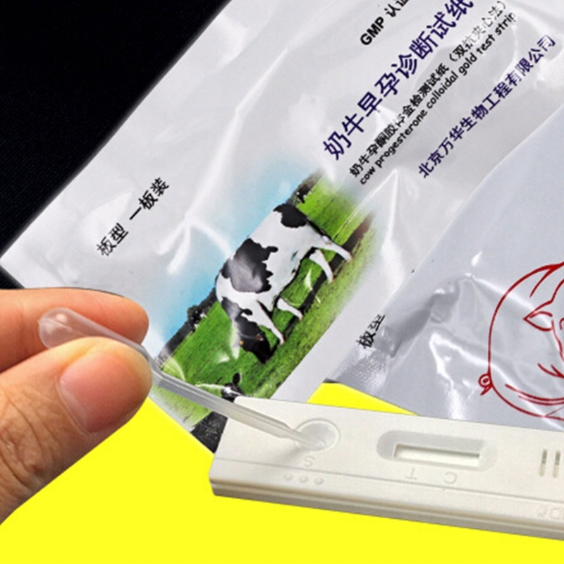 Early Pregnancy Test Strip for - Urine Analyzer Strip recensione e prezzo
