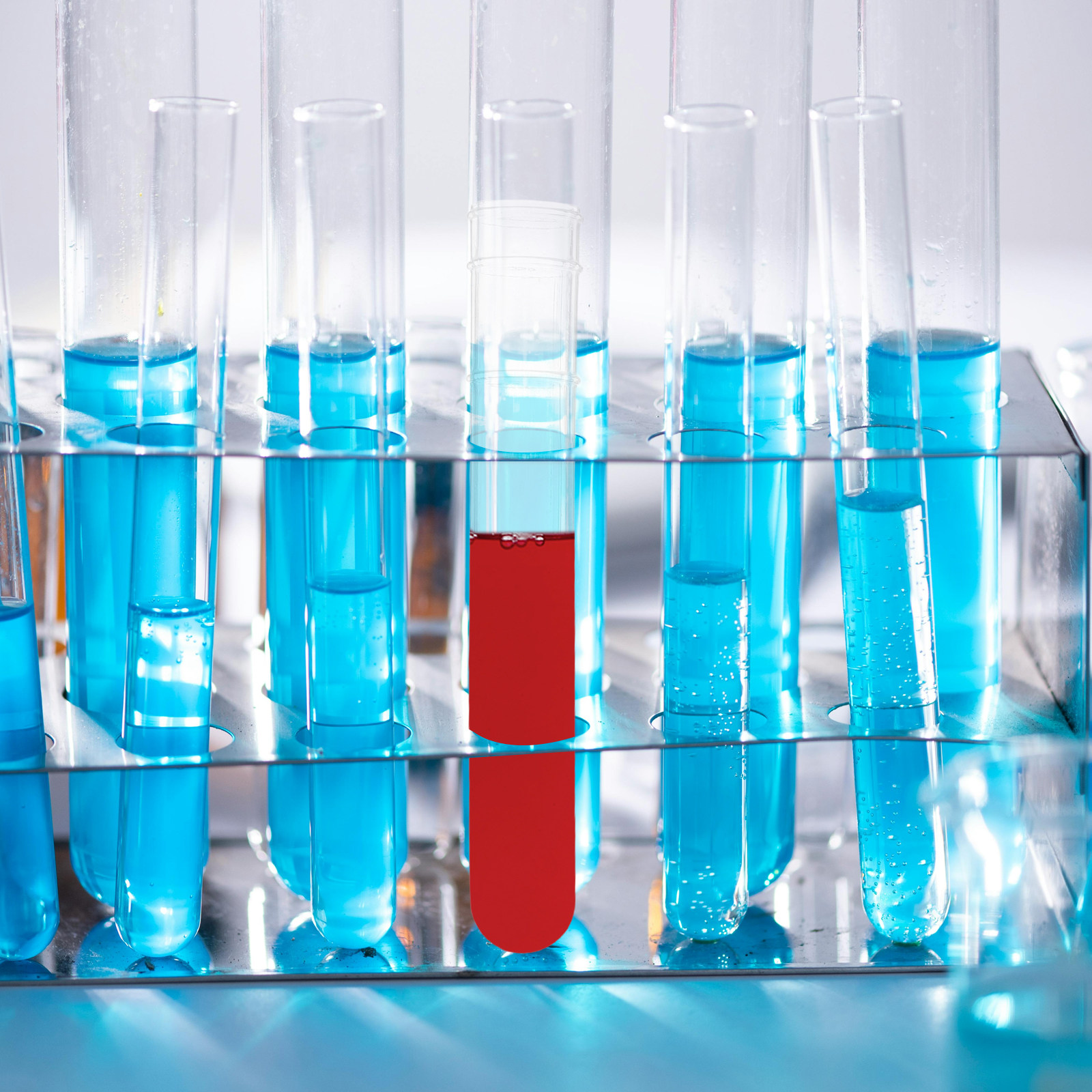 100Pcs Clear Plastic Test Tube - Blood Collection Tube recensione e prezzo