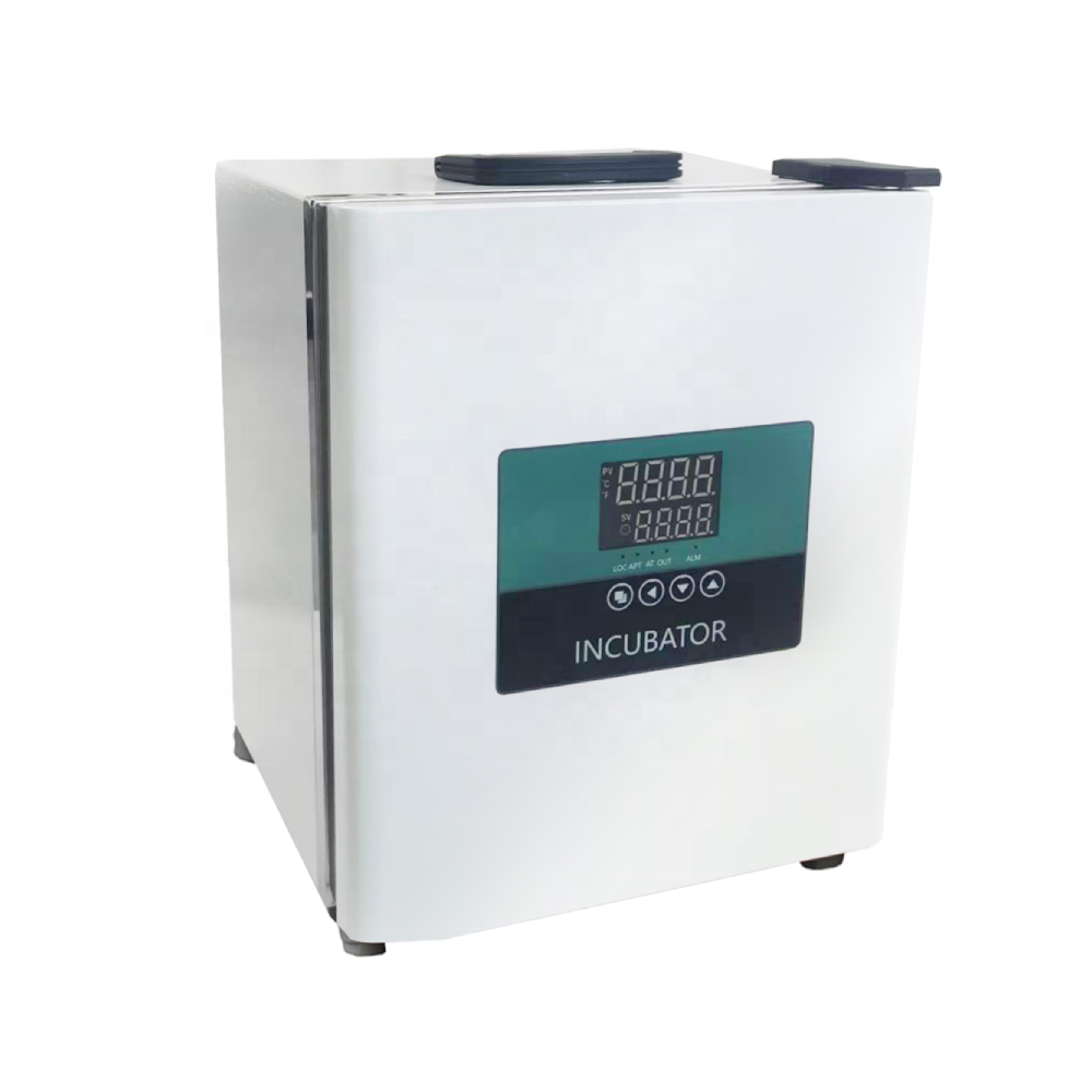 WEIAI Laboratory Portable Incu - Medical Lab Microbiology recensione e prezzo