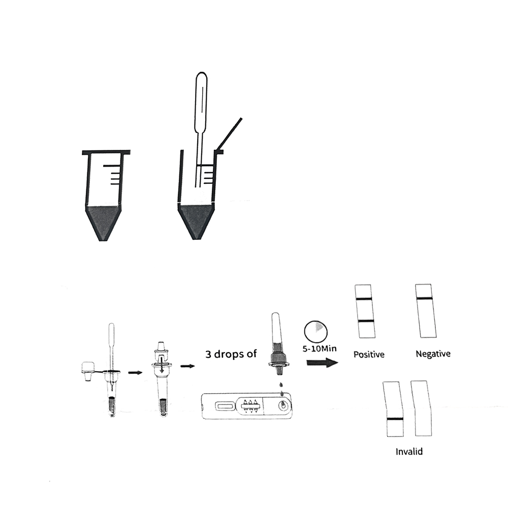 1set/5set Professional Pet Dog - Urine Analyzer Strip recensione e prezzo