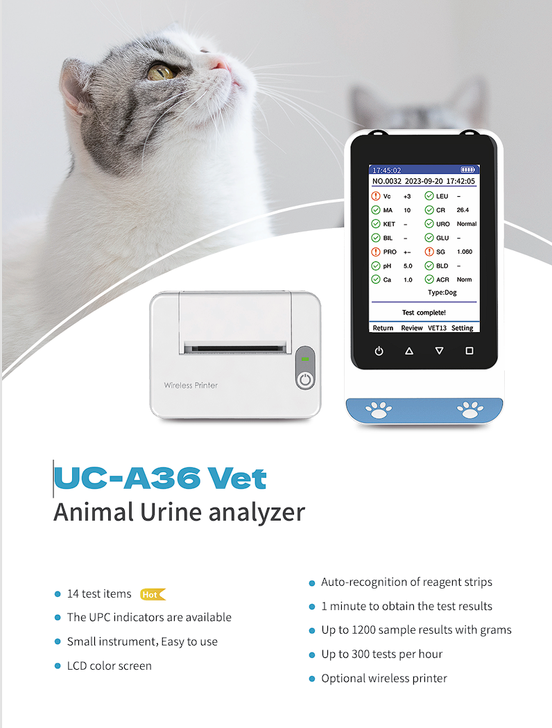 Portable Vet Urine Analyzer -  - Urine Analyzer Strip recensione e prezzo
