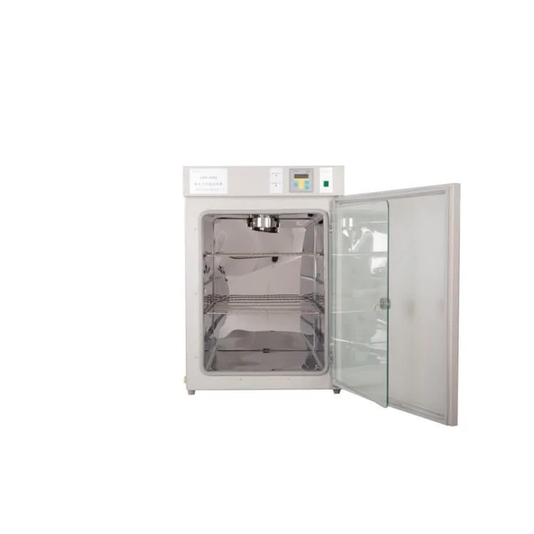 Thermostatic Laboratory medica - Medical Lab Microbiology recensione e prezzo
