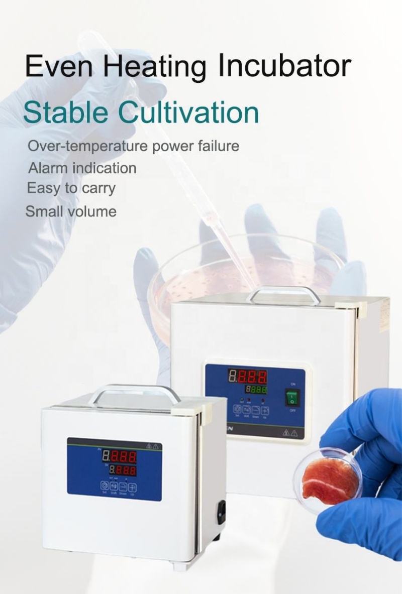 WEIAI Lab Incubator Microbiolo - Medical Lab Microbiology recensione e prezzo
